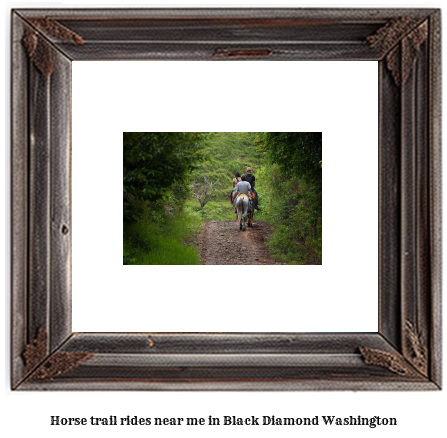 horse trail rides near me in Black Diamond, Washington